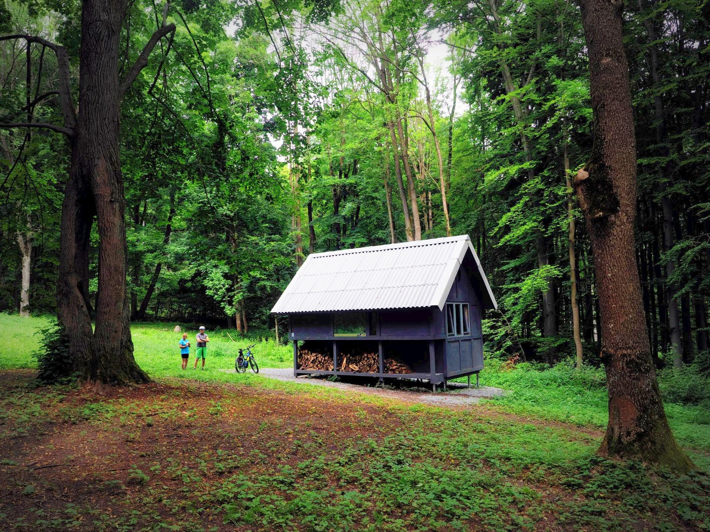 útulňa Kráľová Studňa